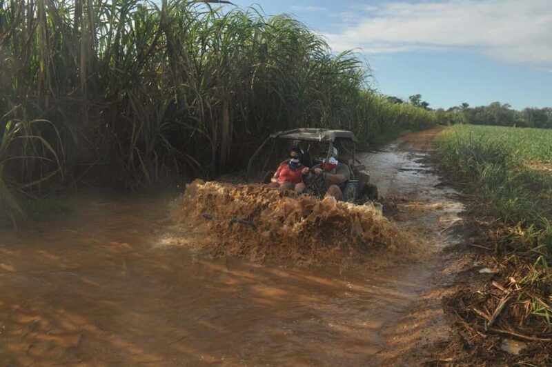 Private: Sunset Horseback Experience  Macao Forest & Beach - An In-Depth Look at the Sunset Horseback Ride