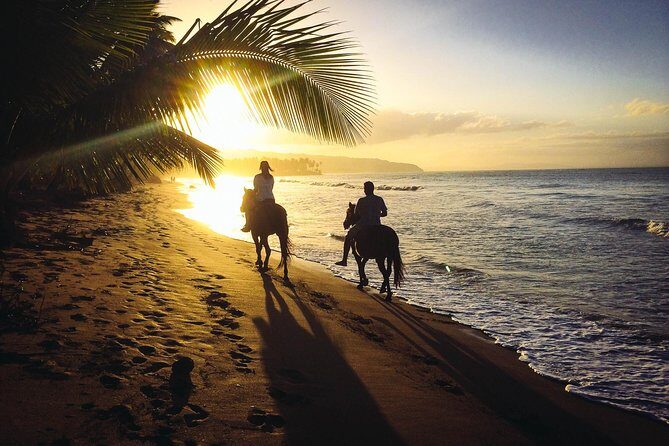 Private Sunset Horseback Riding in punta cana beach - Good To Know