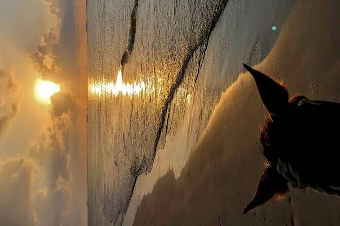 Private Sunset Horseback Riding in punta cana beach - FAQs