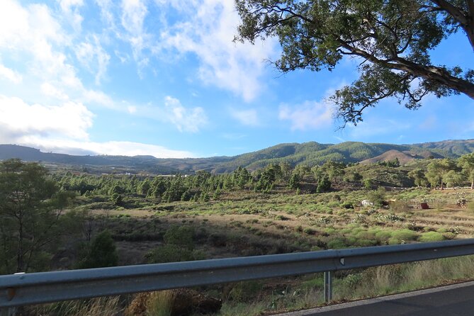 Private Sunset Tour in Tenerife - Private Guide