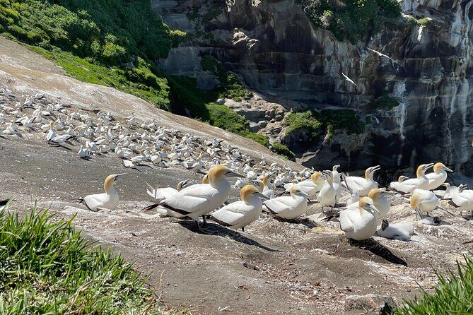 [PRIVATE] SUNSET. Wine. Hot Pool. Dinner - Who Should Consider This Tour?