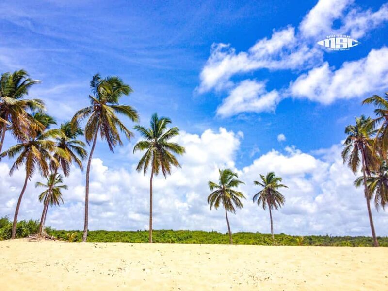 Private Surf Lesson Punta Cana 1-on-1 for All Levels - Good To Know