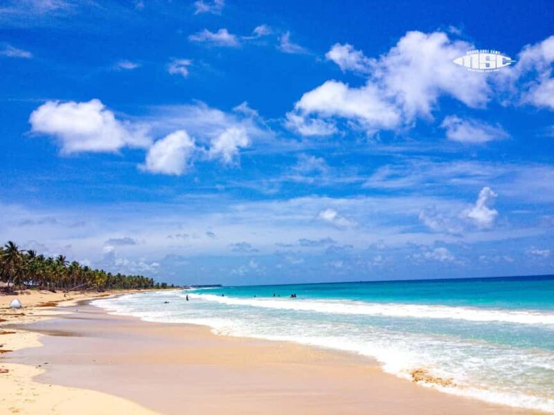 Private Surf Lesson Punta Cana 1-on-1 for All Levels - Who Will Love This Experience?