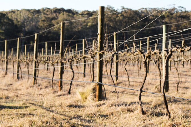 Private Sustainable Wine Tour in Berrima - Inclusions