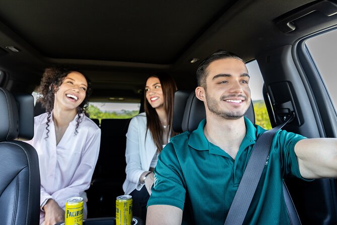 Private SUV Round-Trip From Airport to Hotels in Puerto Los Cabos - Private Round-Trip Transfers