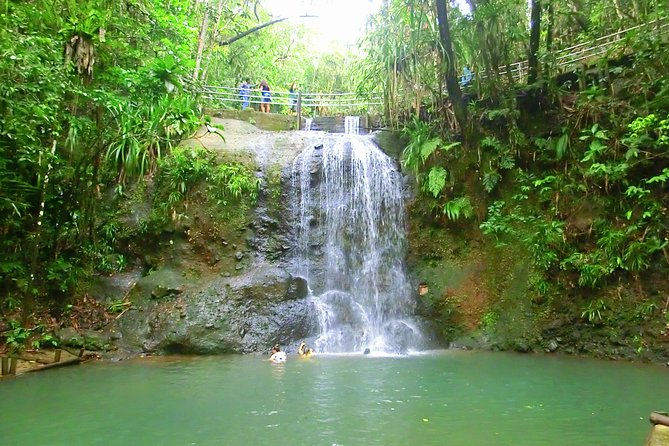 Private Suva Nature and Waterfall Tour - Flora and Fauna of Colo-I-Suva Nature Reserve