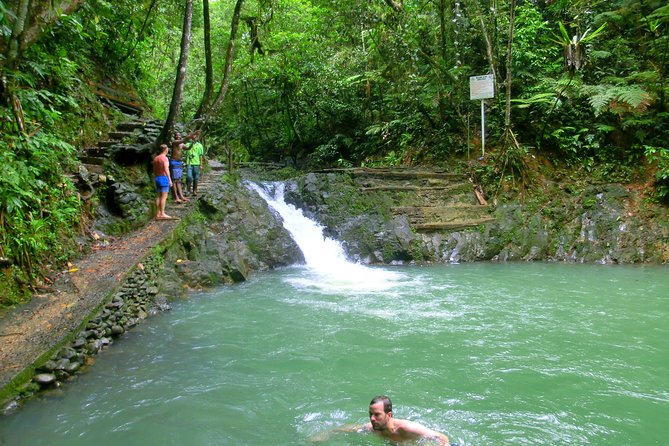 Private Suva Nature and Waterfall Tour - Trekking to Upper or Lower Pools