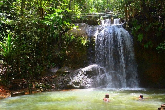 Private Suva Nature and Waterfall Tour - Additional Information and Support