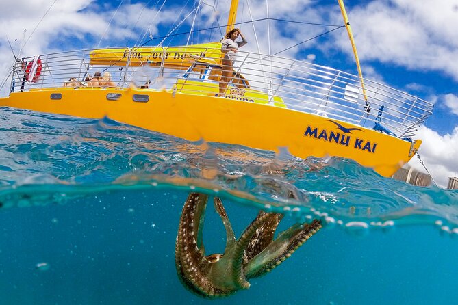 Private Swim and Sail Charter (Kewalo Harbor) - Pricing and Booking Details