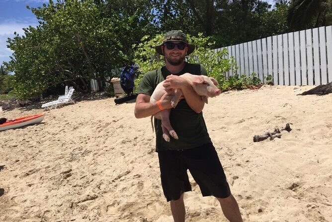 Private Swim With Pigs and Snorkeling in Paradise Tour - Pricing and Value