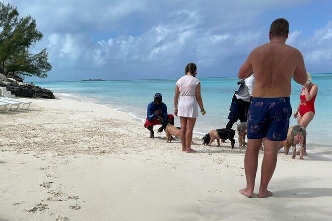 Private Swim With Pigs and Snorkeling in Paradise Tour - Final Thoughts: Who Is This Tour Best For?