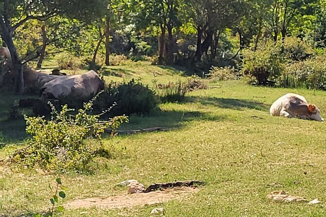 Private Swimming at Waterfalls and Kayaking through the Canyon - What to Expect on the Waterfalls and Canyon Kayaking Tour