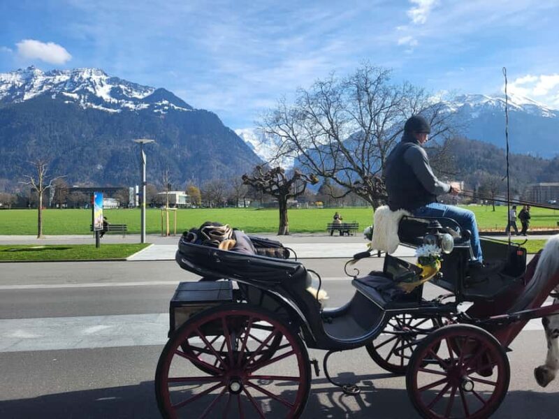 Private Swiss Alps Tour, Lakes, Villages, Waterfalls - Final Thoughts