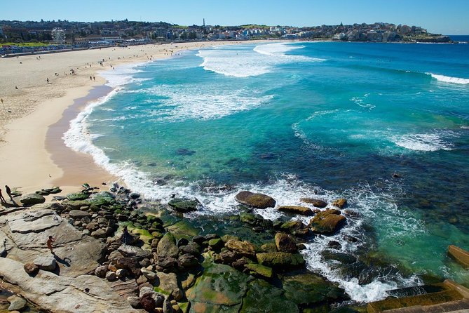 Private Sydney Beaches & Foreshores Tour - Common Questions