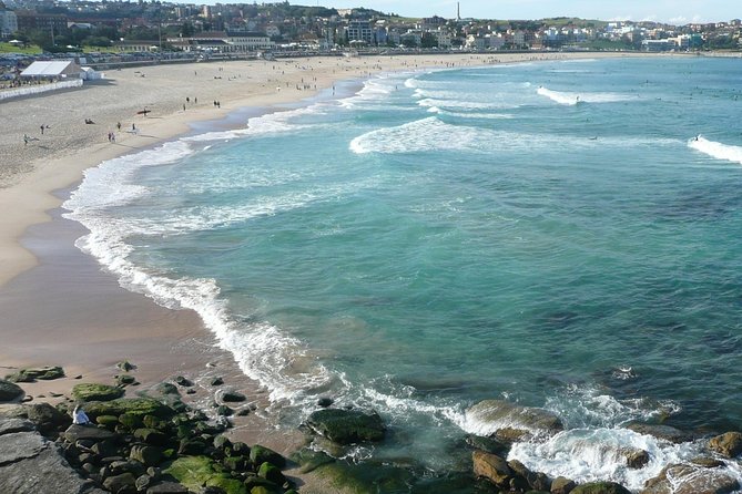 Private Sydney City Tour: The Key Attractions - Flexible Itinerary Based on Interests