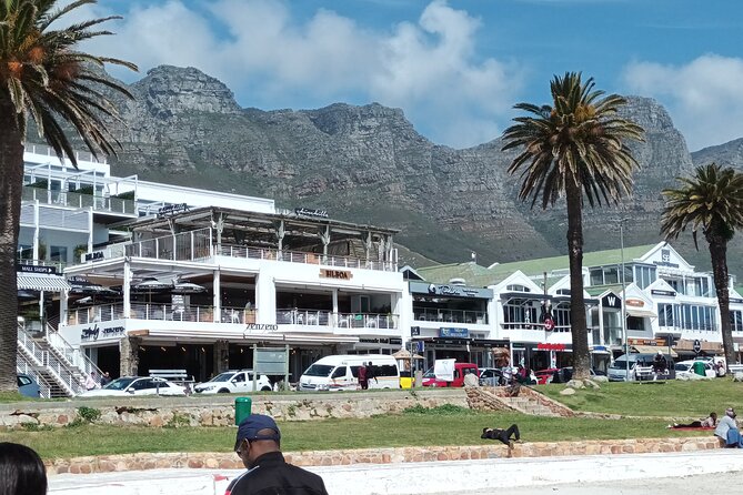 Private Table Mountain Cape Point Penguins Inc All Tickets FD - Ticket Pricing and Options