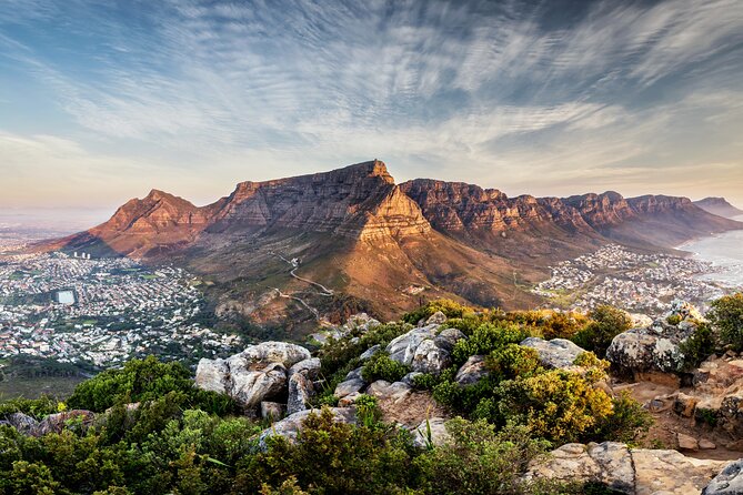 Private Table Mountain Penguins & Cape Point Tour From Cape Town - Traveler Photos and Visual Preview