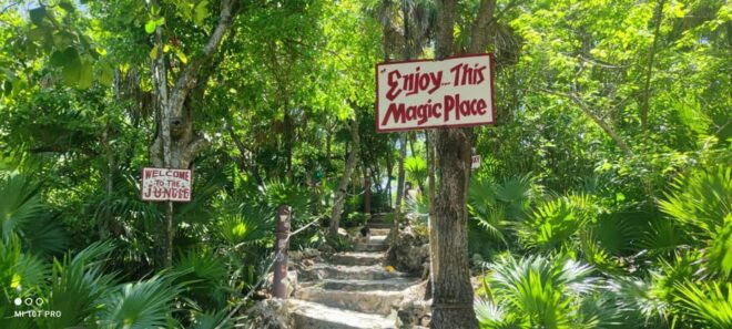 Private Tacos and Bar Hop Tour in Cozumel - Experience