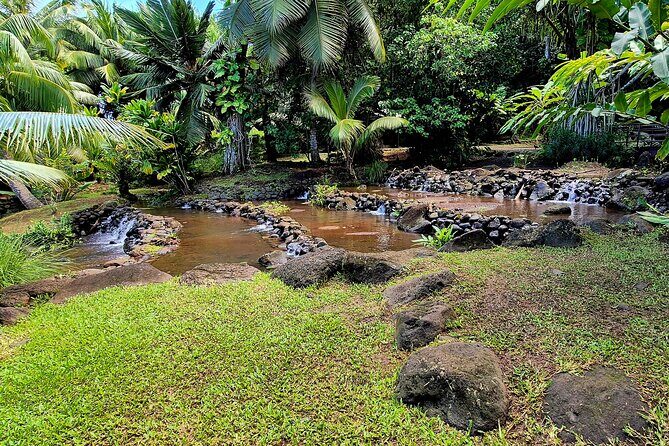 Private Tahiti Island Discovery Tour  5.5 Hours - The Sum Up