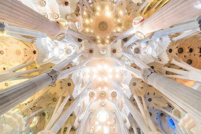 Private Tailored Barcelona Tour - Reviews and Additional Information