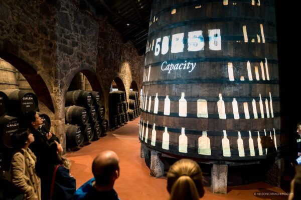 Private Tailored Tour of Porto and Coimbra - Wine Tasting Experience