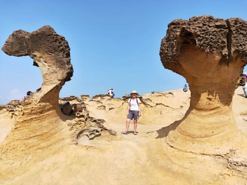 Private Taipei City Layover Tour from TPE Airport - Who Is It Best For?