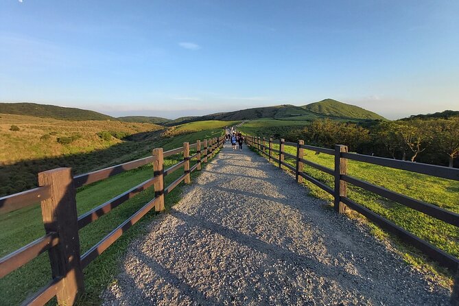 Private Taipei Yangmingshan Half-Day Hiking Tour - Reviews and Ratings