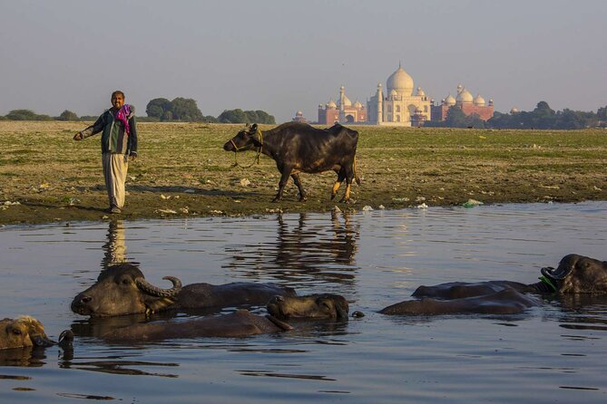 Private Taj Mahal Agra Overnight Tour From Delhi - Booking Information