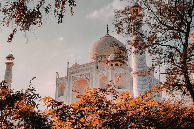 Private Taj Mahal and Agra Full-Day Tour From Delhi - Tour Overview