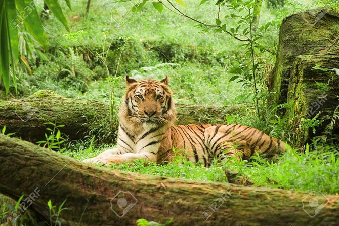 Private Taj Mahal & Ranthambore Wildlife Safari Tour From Delhi - Accommodation Details