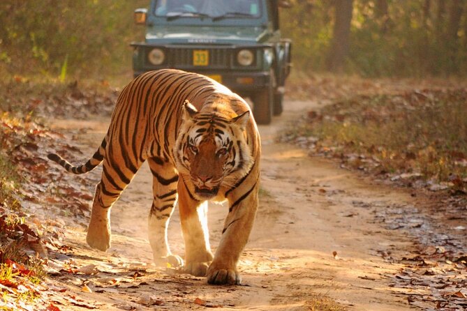 Private Taj Mahal & Ranthambore Wildlife Safari Tour From Delhi - Additional Information