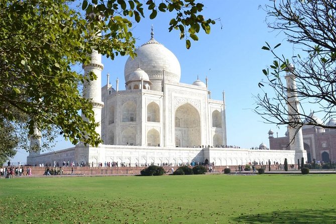 Private Taj Mahal Sunrise and Wildlife SOS - Wildlife SOS Overview