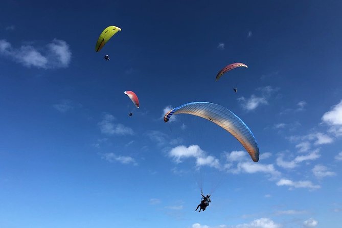 Private Tandem Paragliding Flight in Bizkaia - What Is Tandem Paragliding?