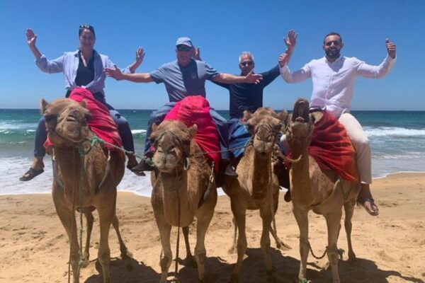 Private Tangier Tour From Gibraltar Including Camel & Lunch - Experience Highlights