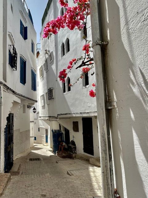Private Tangier Tour From Malaga Including Camel & Lunch - Full Description