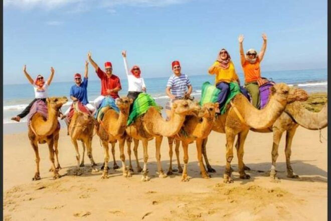 Private Tangier Tour From Tarifa Including Camel & Lunch - Guided Experience