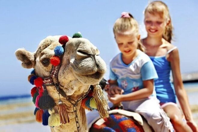 Private Tangier Tour From Tarifa Including Camel & Lunch - Optional Activities
