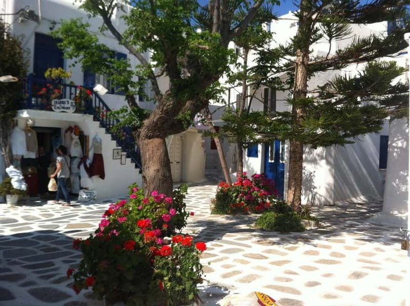 Private: Taste of Mykonos: Panoramic Views & Local Delights - Good To Know