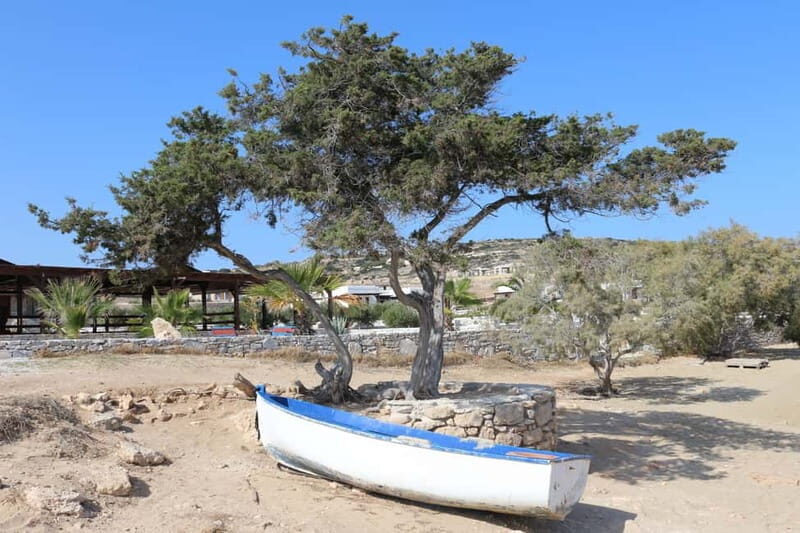 Private: Taste of Mykonos: Panoramic Views & Local Delights - Rizes Farmstead: Authentic Flavors in the Countryside