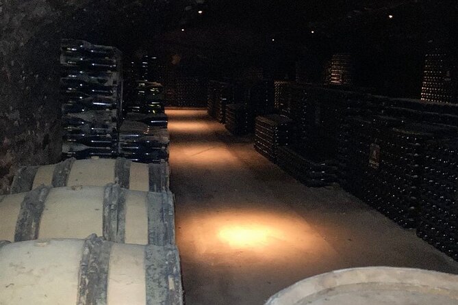 Private Tasting Day Tour From Paris to Beaune - Transportation and Guides