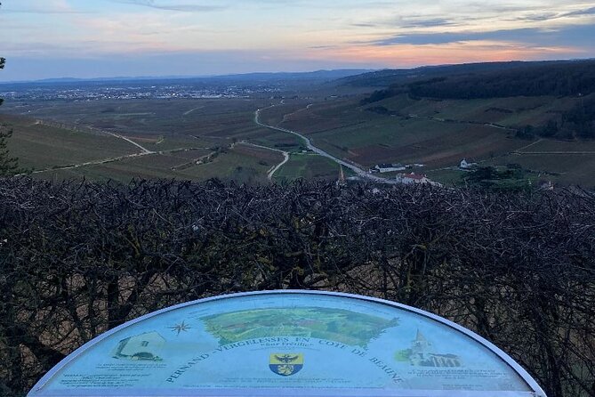 Private Tasting Day Tour From Paris to Beaune - Booking and Reservations