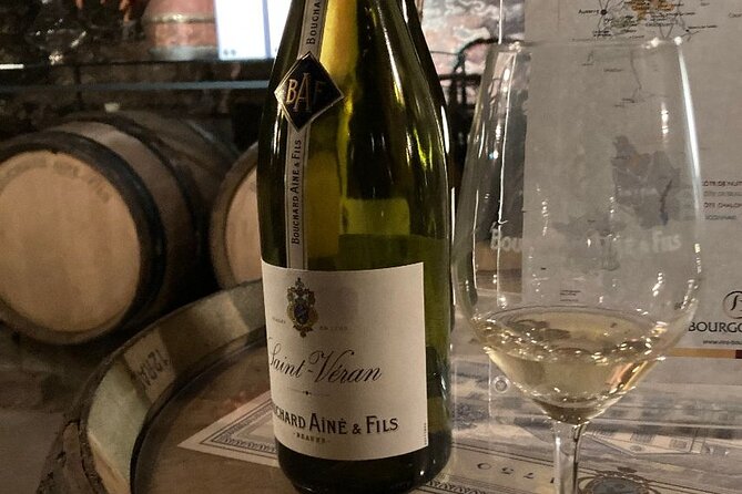 Private Tasting Day Tour From Paris to Beaune - Customer Reviews