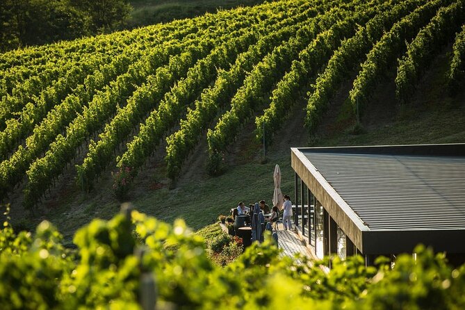 Private Tasting Expedition Along Romania's Most Famous Wine Route - Tour Highlights