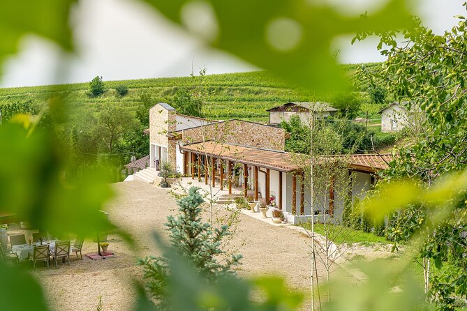 Private Tasting Expedition Along Romania's Most Famous Wine Route - Customer Reviews