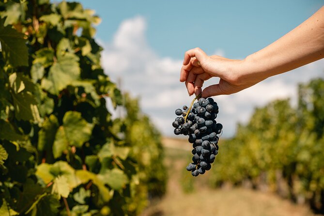 Private Tasting Expedition Along Romania's Most Famous Wine Route - Frequently Asked Questions