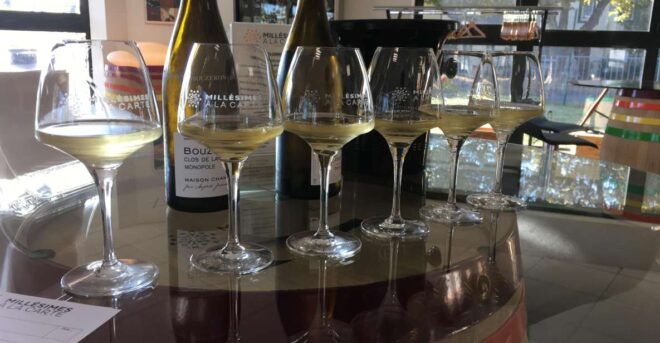 Private Tasting in Beaune : The Best of Burgundy Wines - Wine Selection Showcase