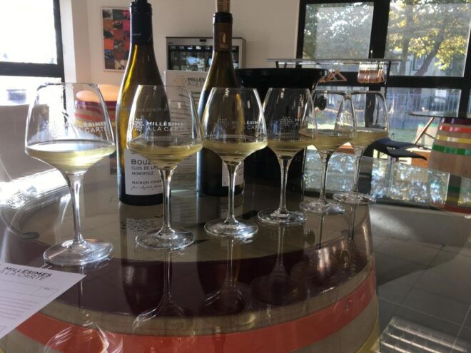 Private Tasting in Beaune : The Best of Burgundy Wines - Customer Reviews Summary