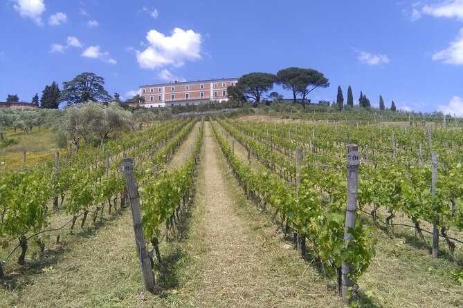 Private Tasting of Wines and Oil to Discover Lucca Ducale - Good To Know