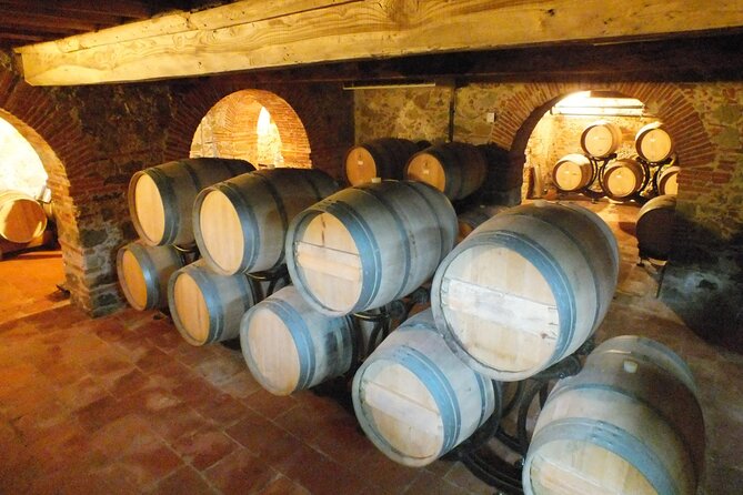 Private Tasting of Wines and Oil to Discover Lucca Ducale - What to Expect