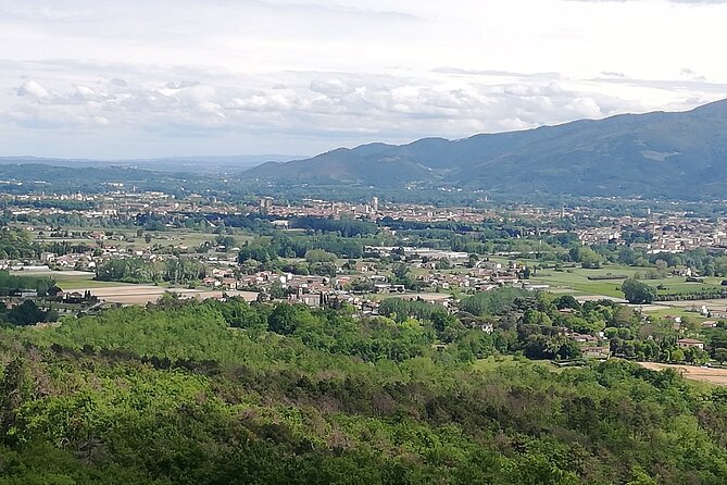 Private Tasting of Wines and Oil to Discover Lucca Ducale - Meeting and Departure